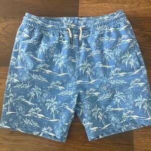 Fair Harbor Bayberry Swim trunks, Boxer brief lining    Boys size XL.